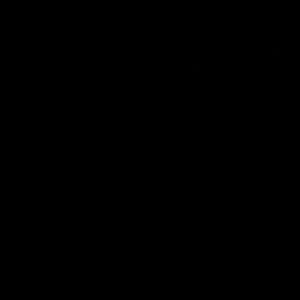 Meet your Posher, Ariel